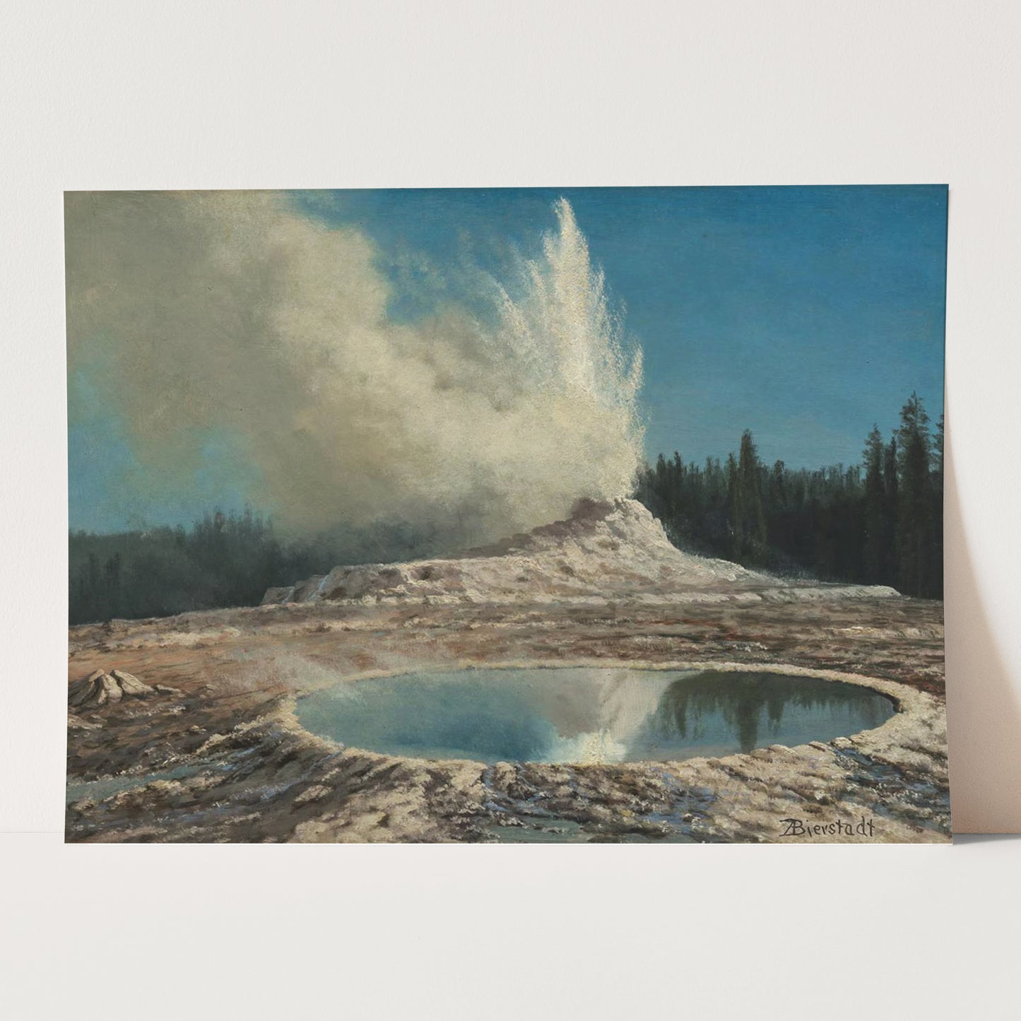 Yellowstone Park Landscape