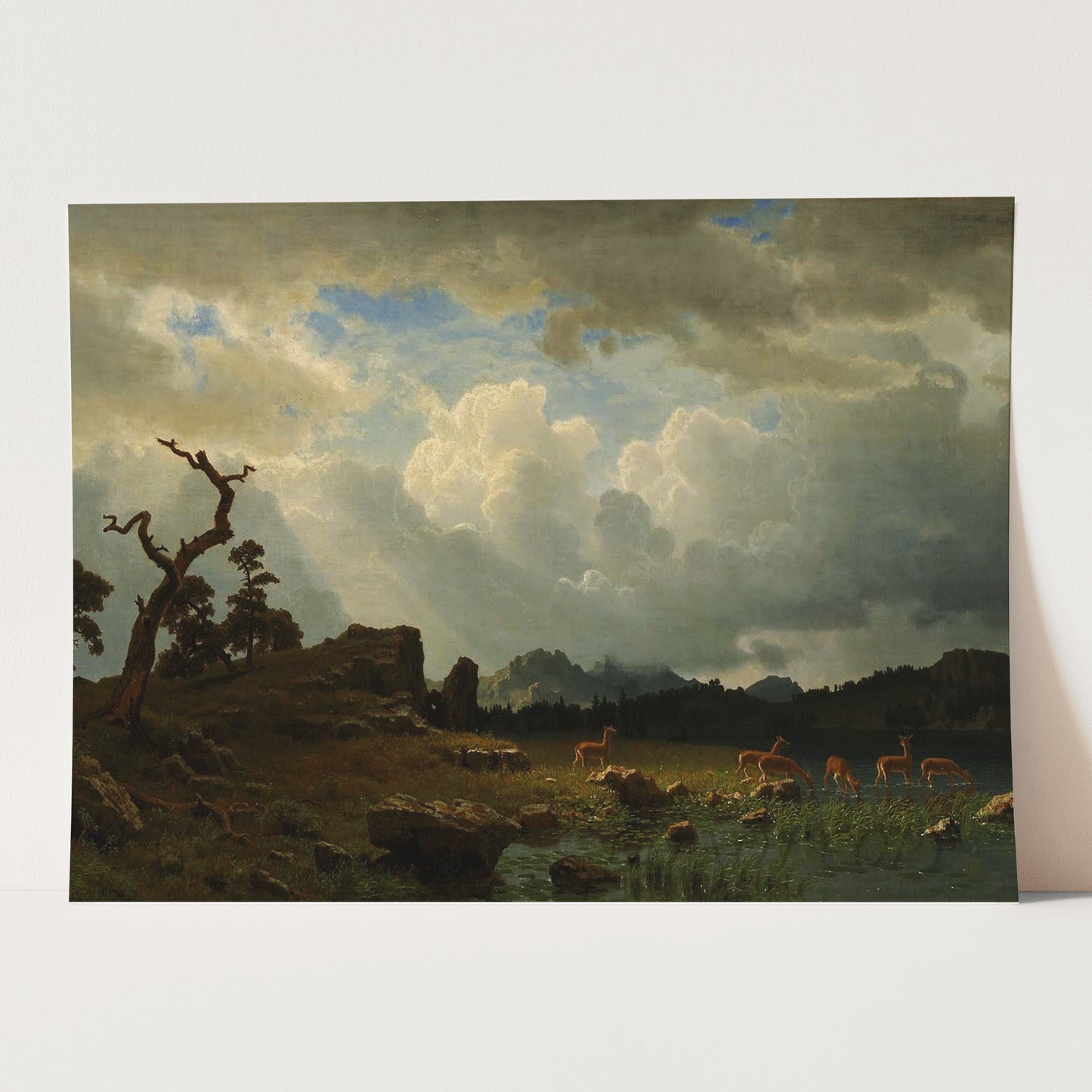 Thunderstorm in the Rocky Mountains Landscape