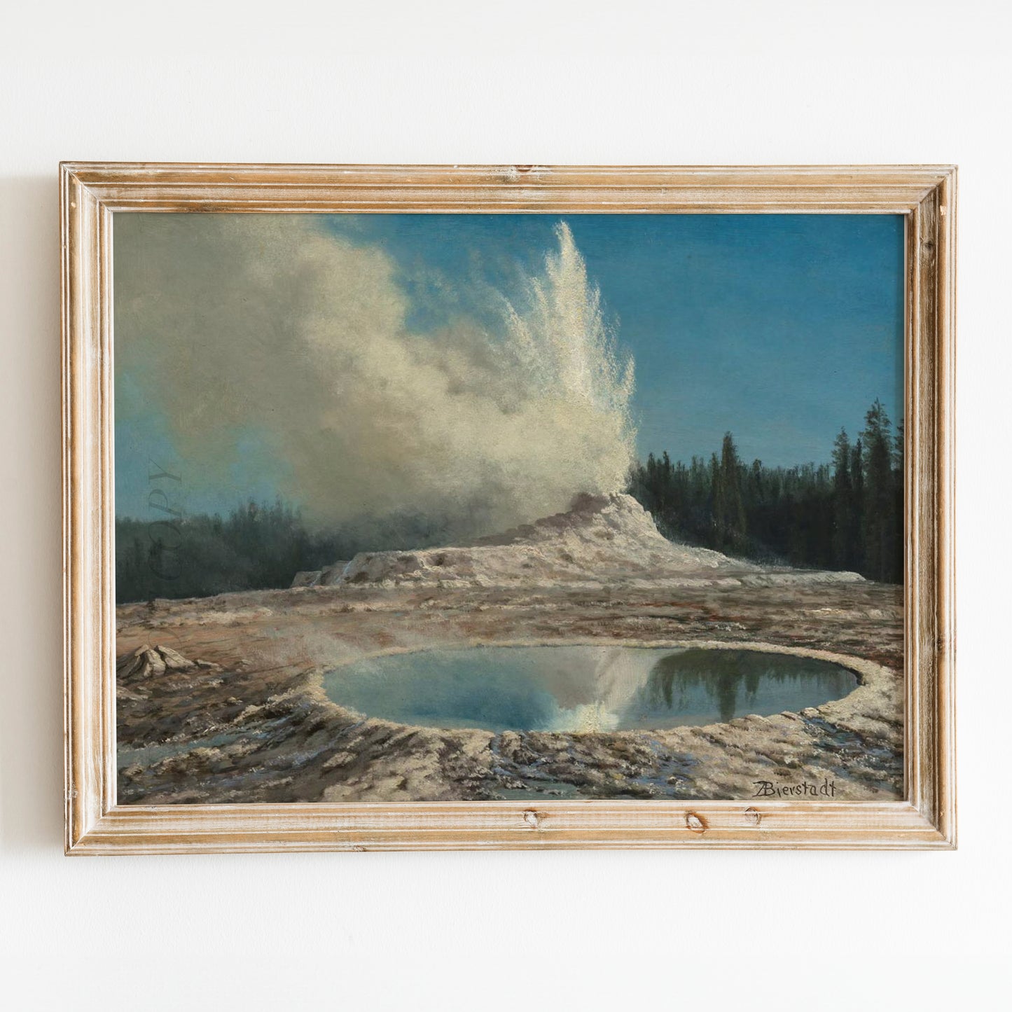 Yellowstone Park Landscape