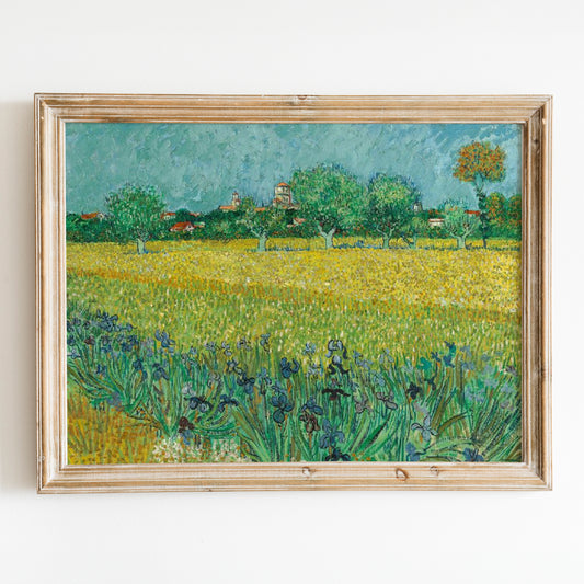 Field with Irises near Arles (1888) by Van Gogh