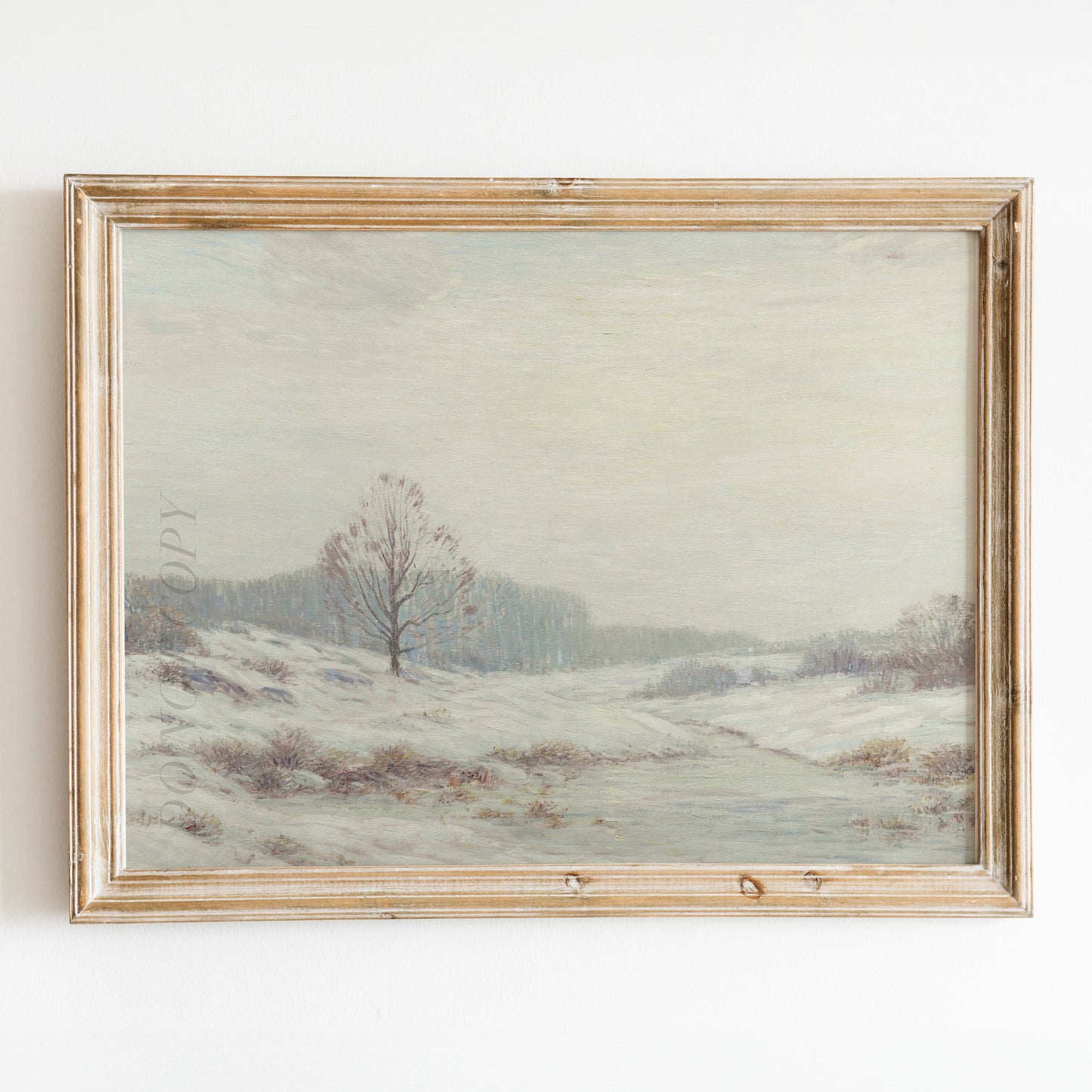 Winter Frost