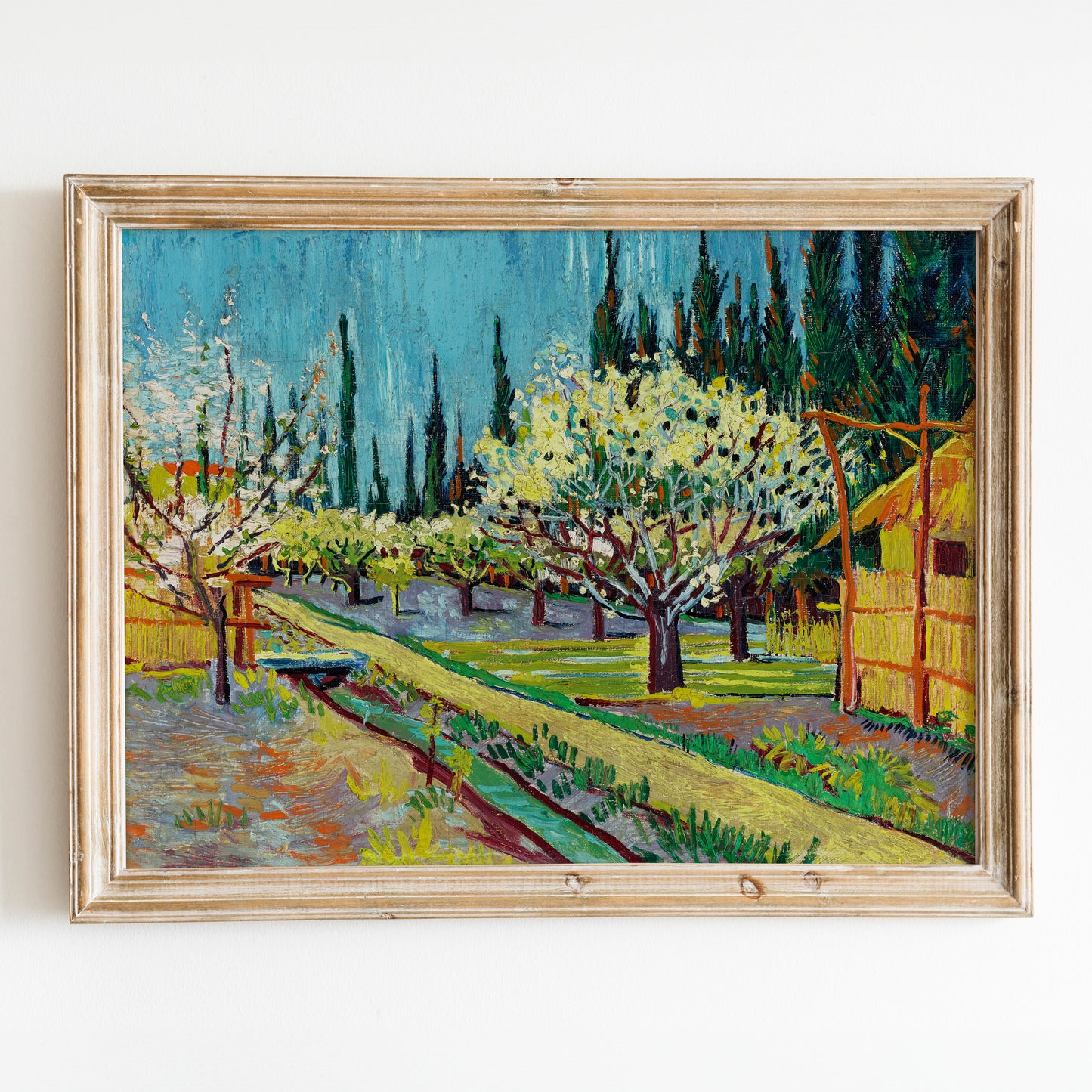 Orchard Bordered by Cypresses (1888) by Van Gogh