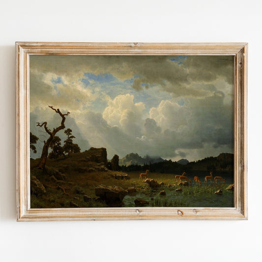 Thunderstorm in the Rocky Mountains Landscape