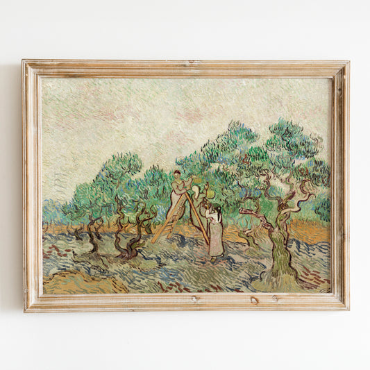 The Olive Orchard (1889) by Van Gogh