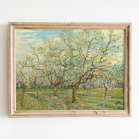 The White Orchard (1888) by Van Gogh