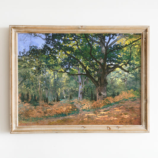 The Bodmer Oak, Fontainebleau Forest (1865) by Claude Monet