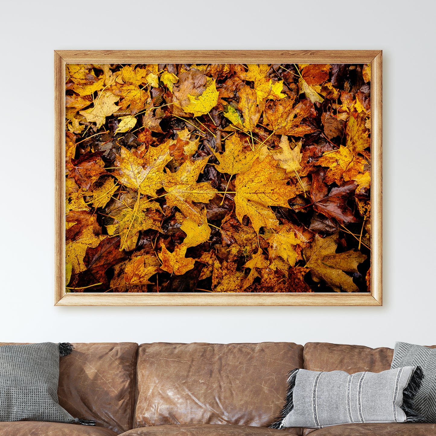 Vermont's Autumn Leaves