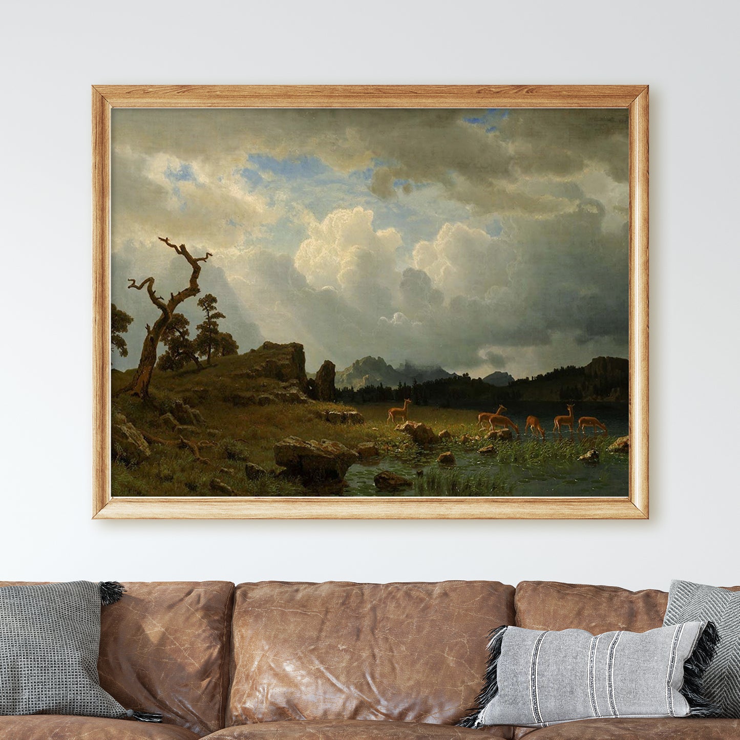 Thunderstorm in the Rocky Mountains Landscape