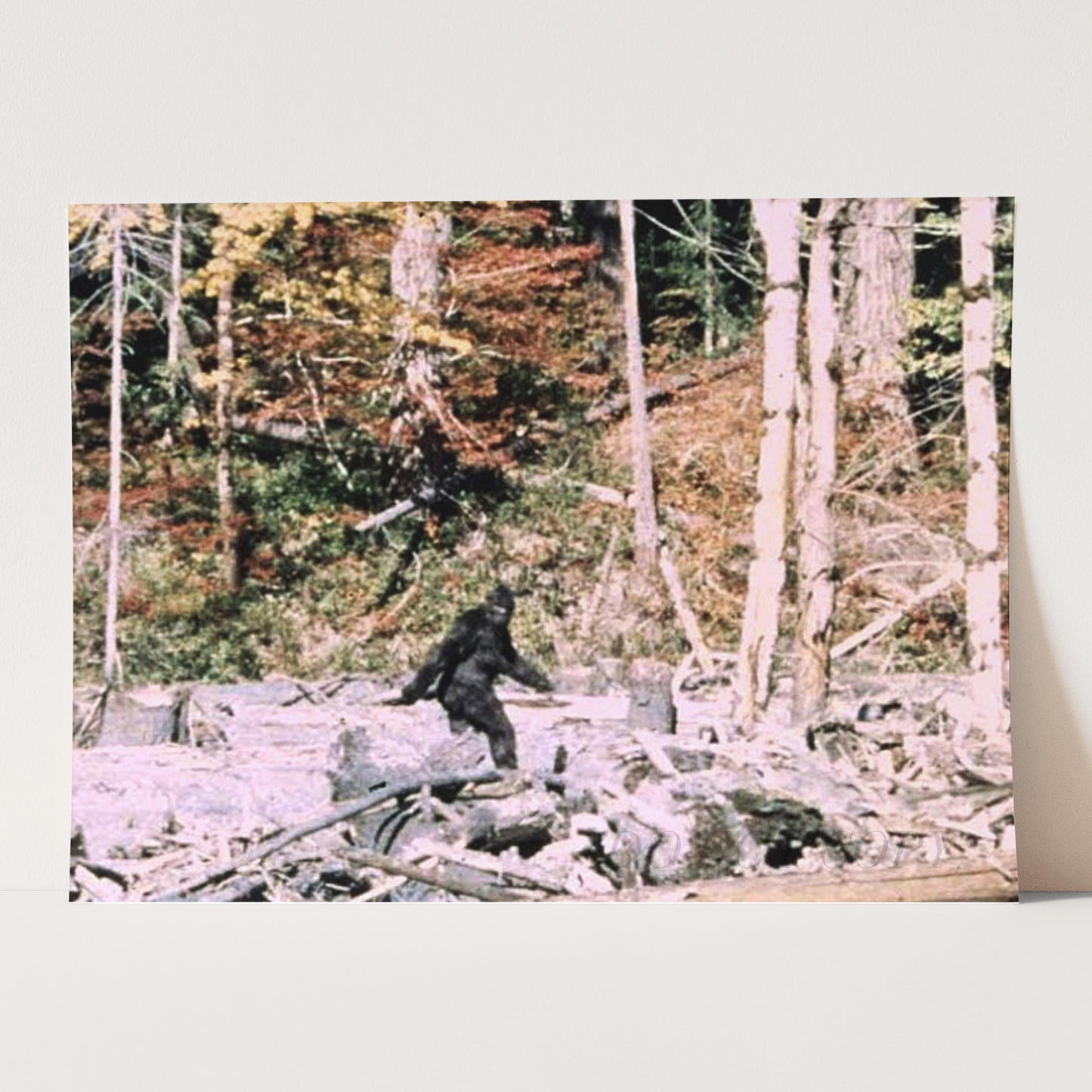 Bigfoot