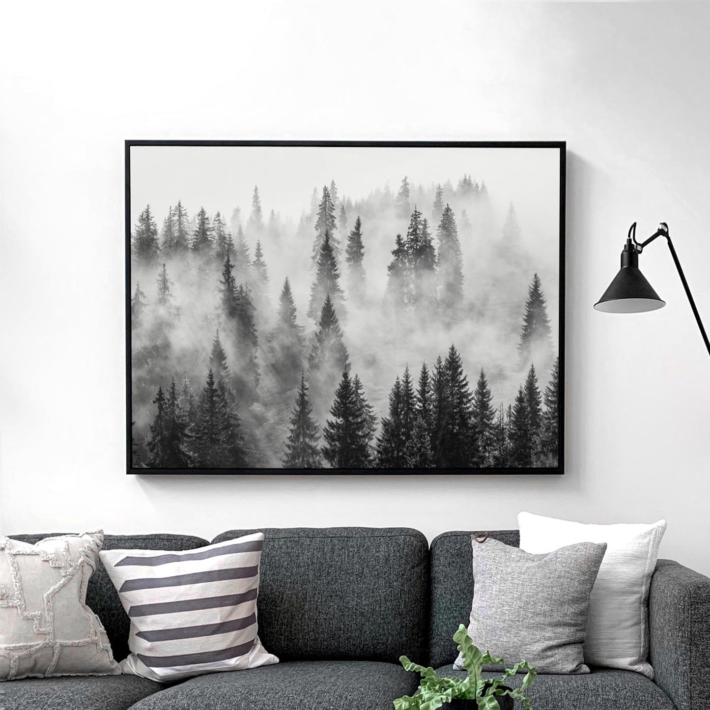 Foggy Forest