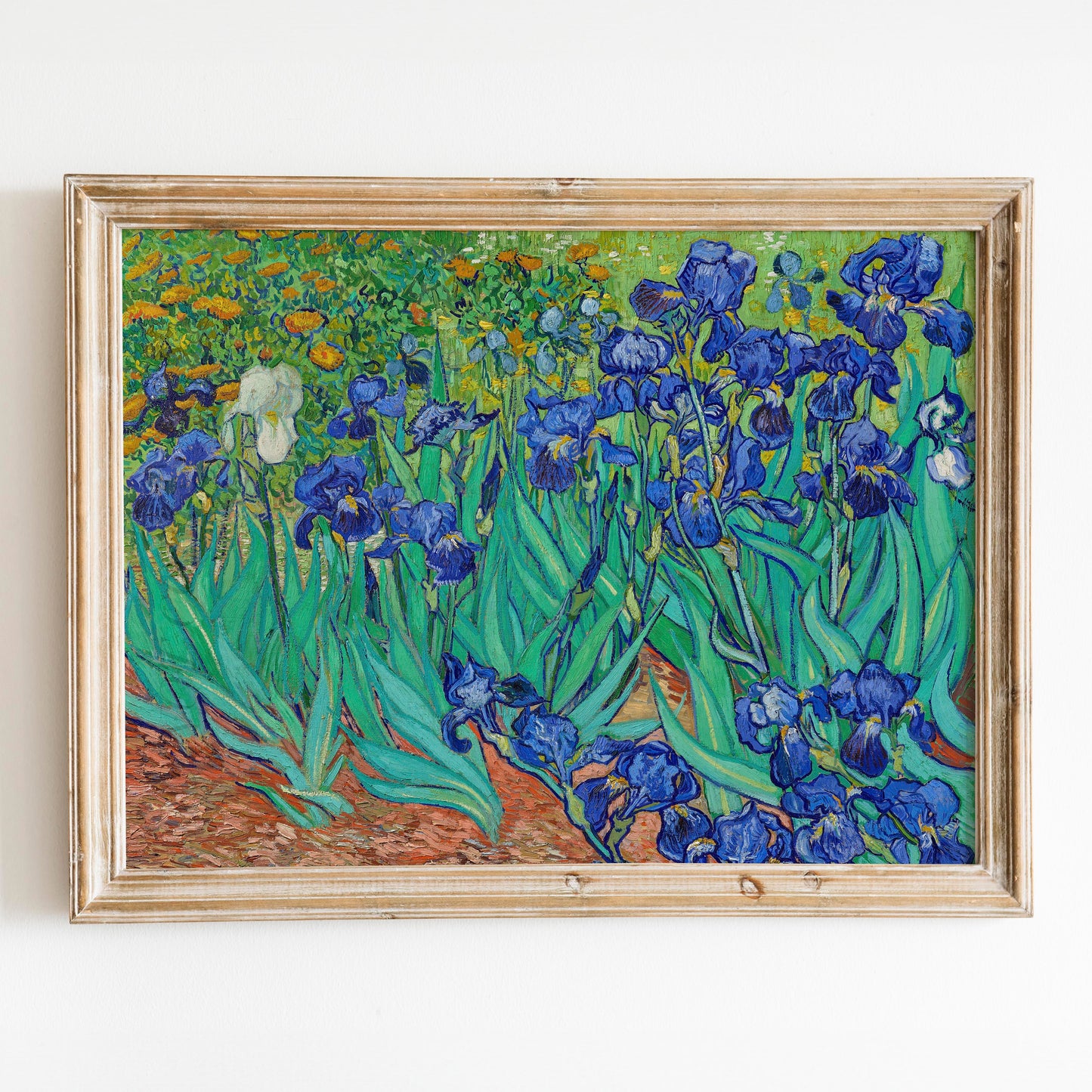 Irises 1889 by Van Gogh
