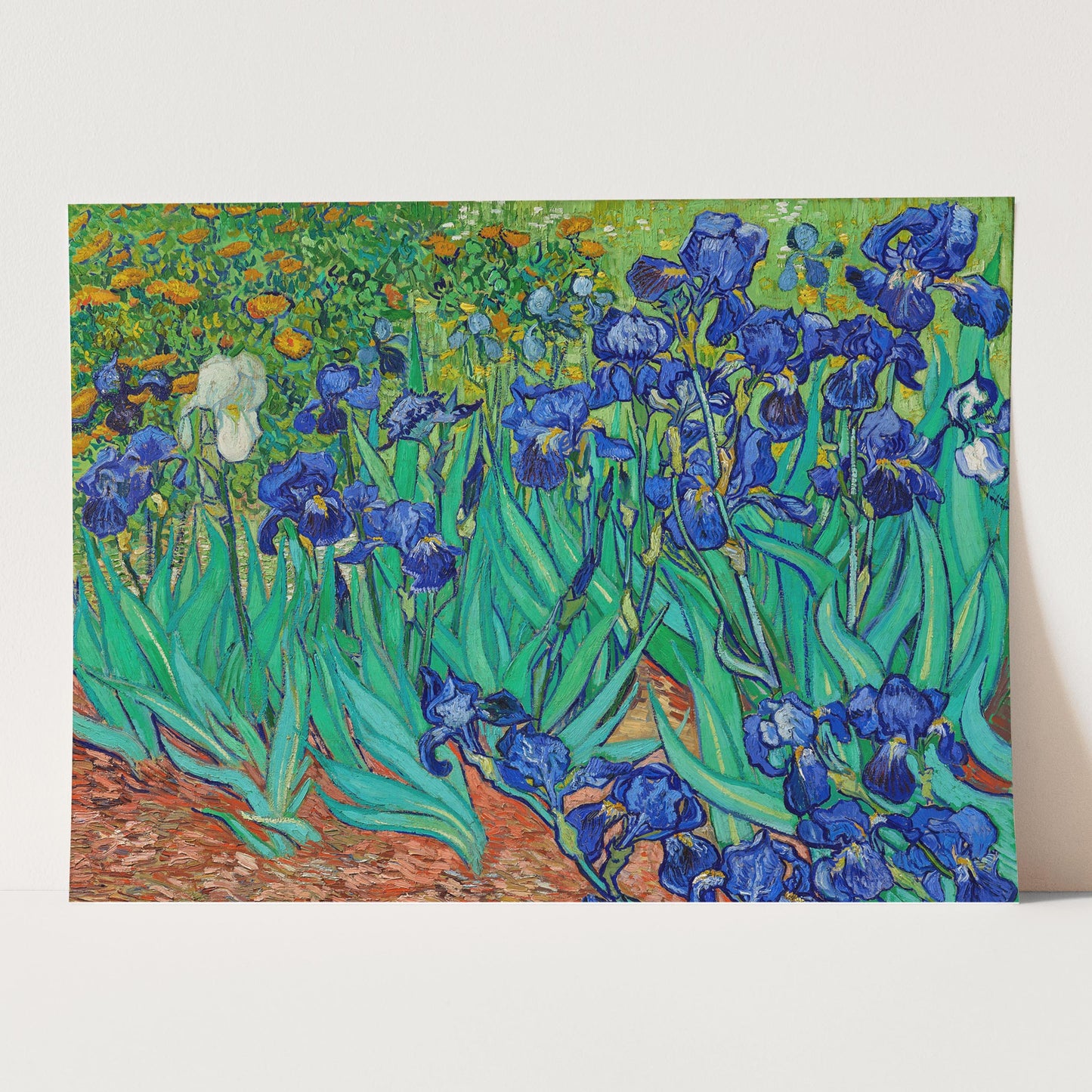 Irises 1889 by Van Gogh