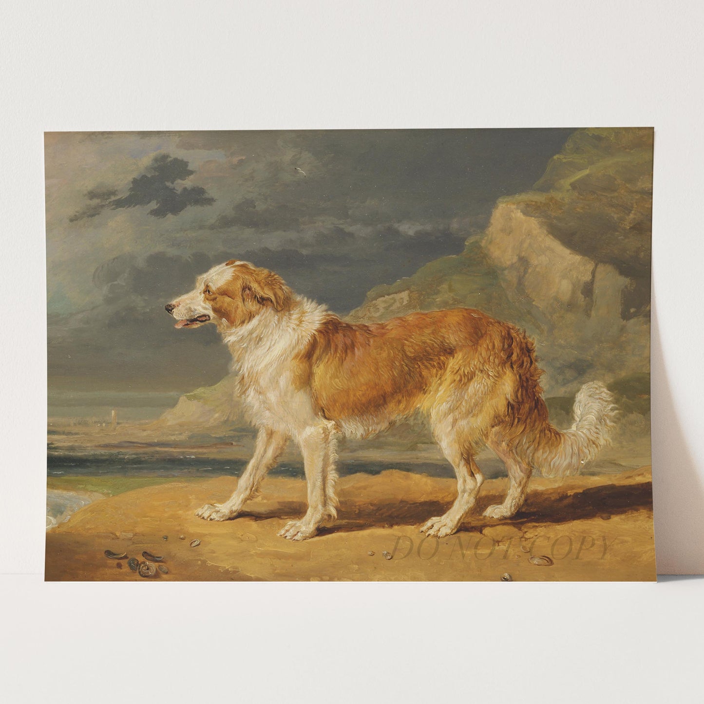 Rough Coated Collie by James Ward, 1809