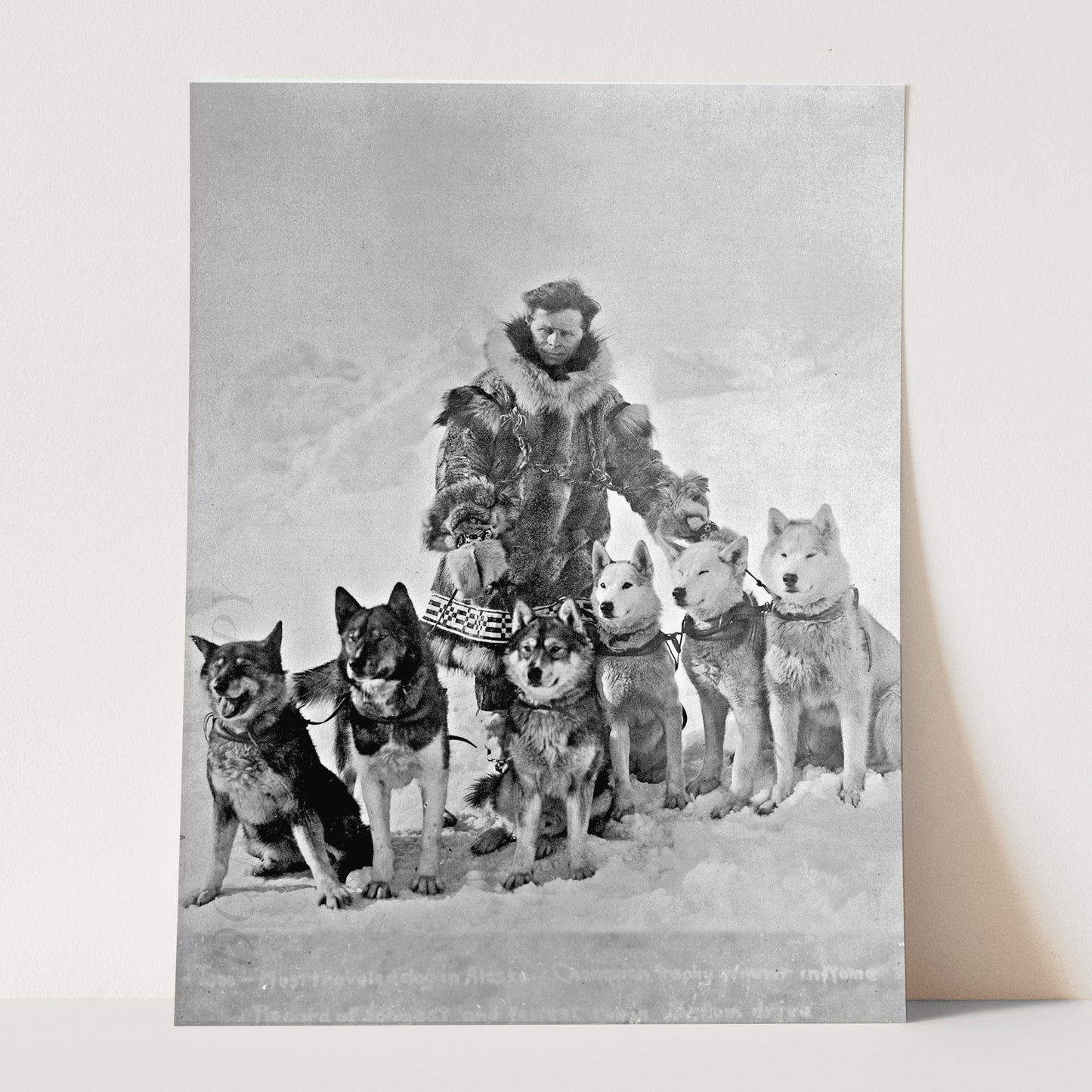 Balto Siberian Husky Dog - Togo Leonhard Seppala With Dogs
