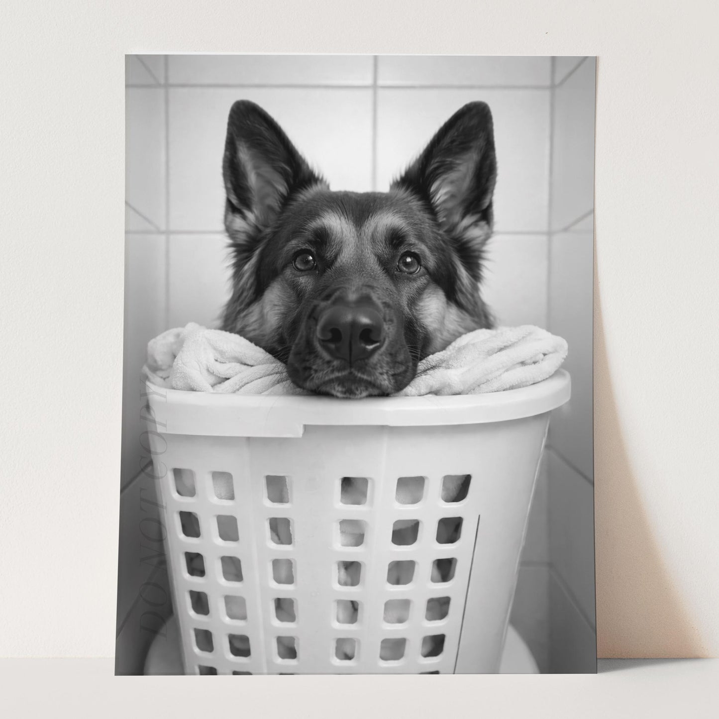 German Shepherd Dog Laundry
