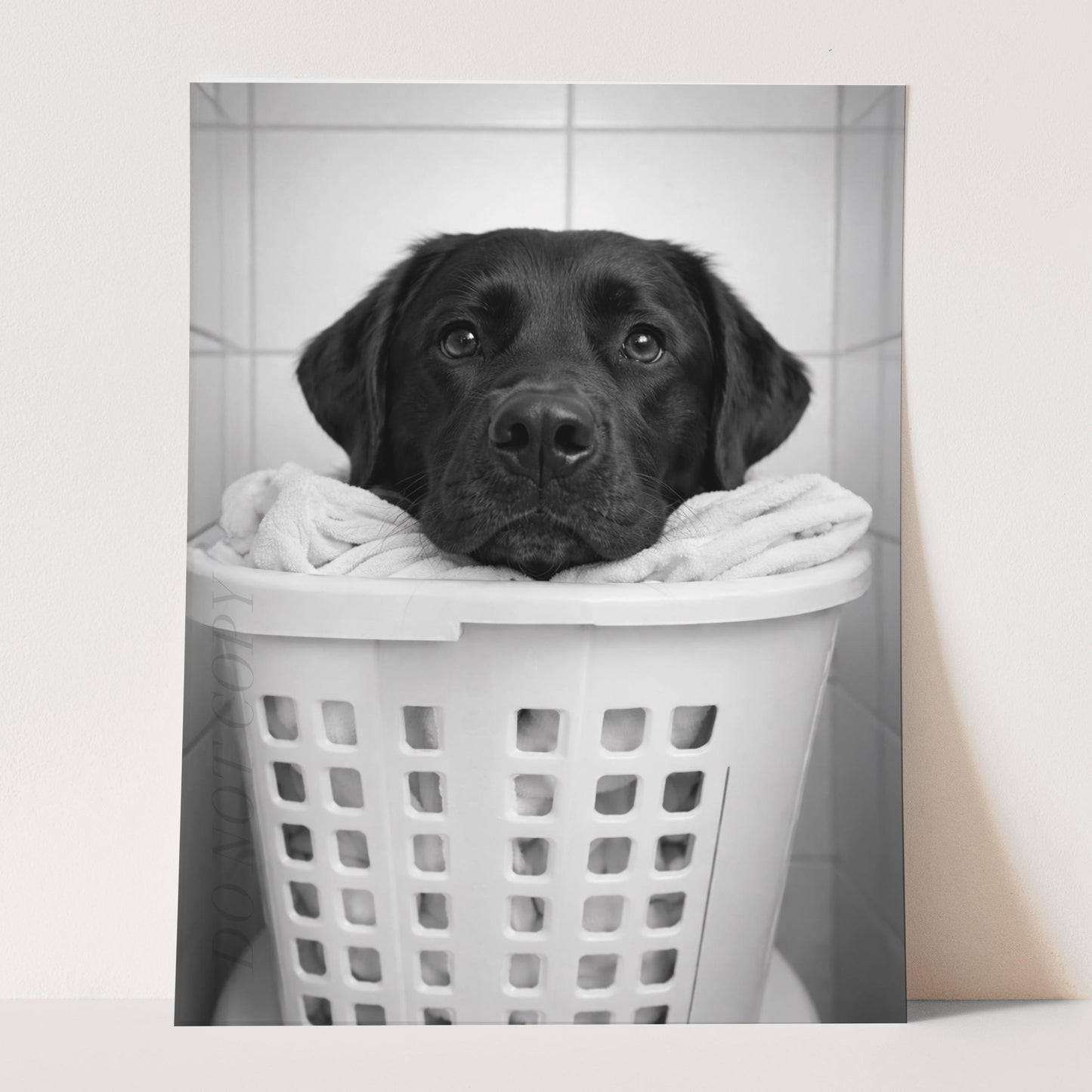 Black Labrador Dog Laundry