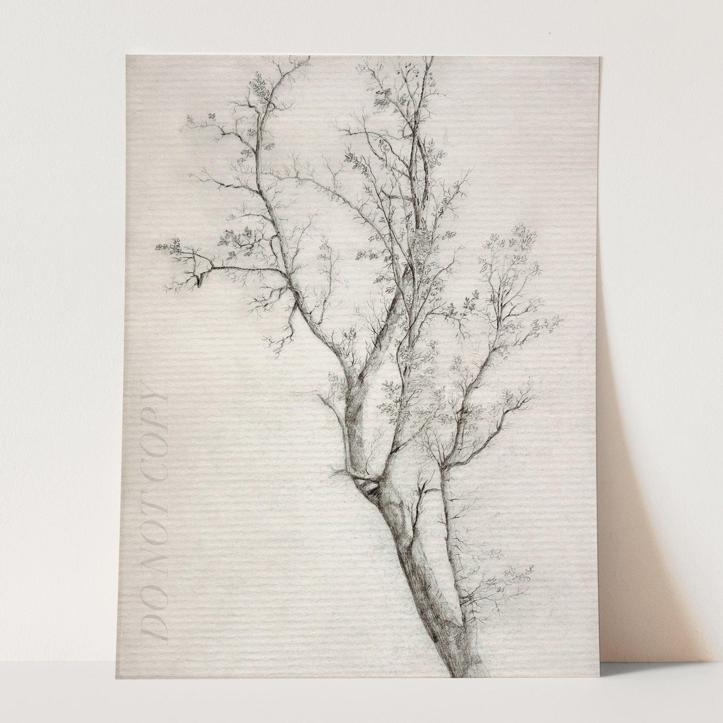Tree Sketch