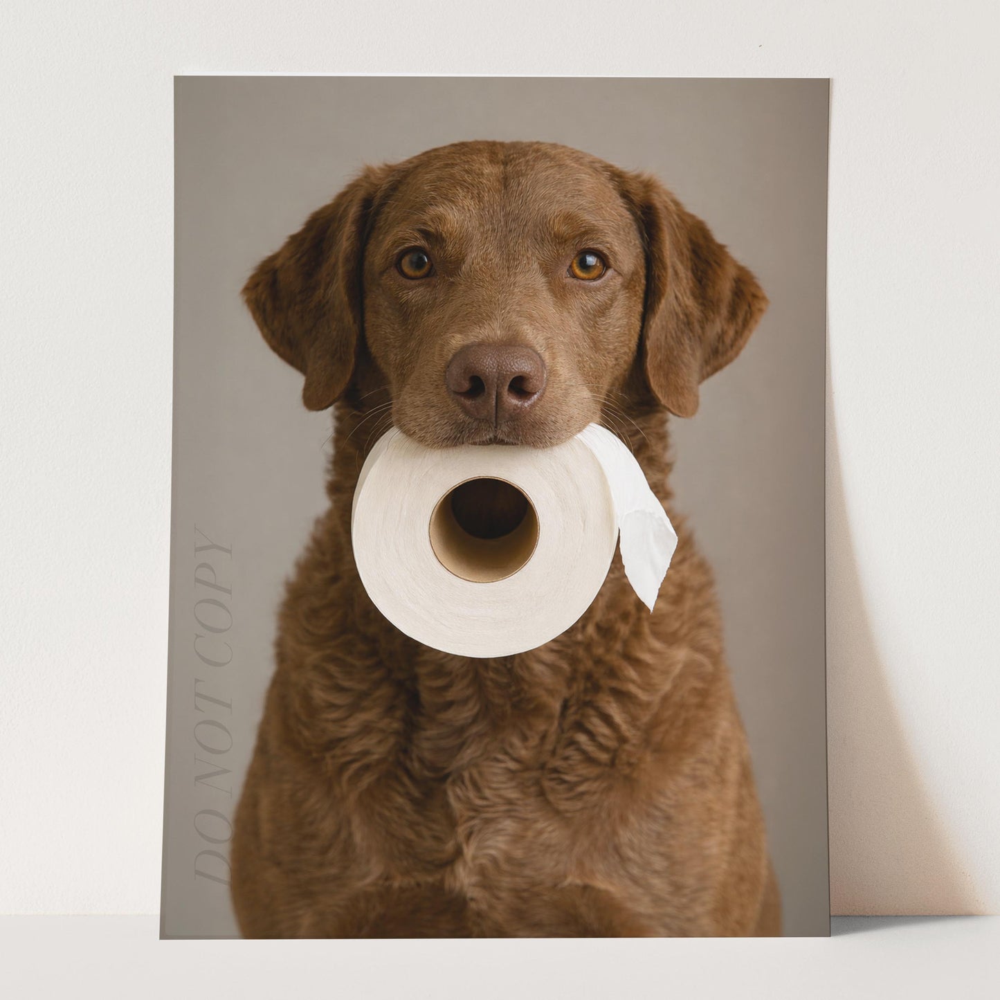 Chesapeake Bay Retriever Dog Toilet Paper