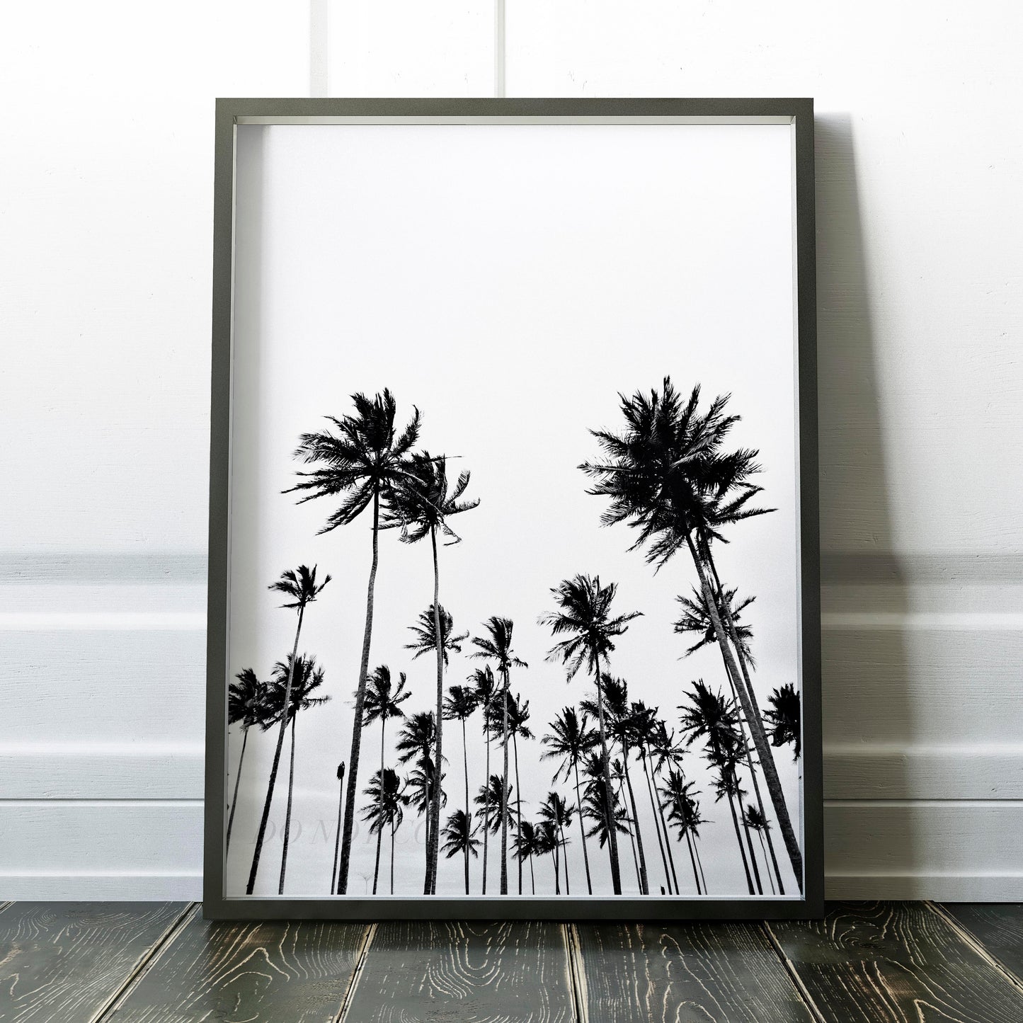 Palm Trees Vintage Black & White