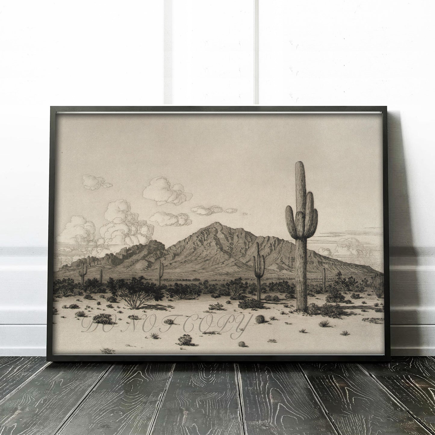 Phoenix Arizona Camelback Mountain 1926