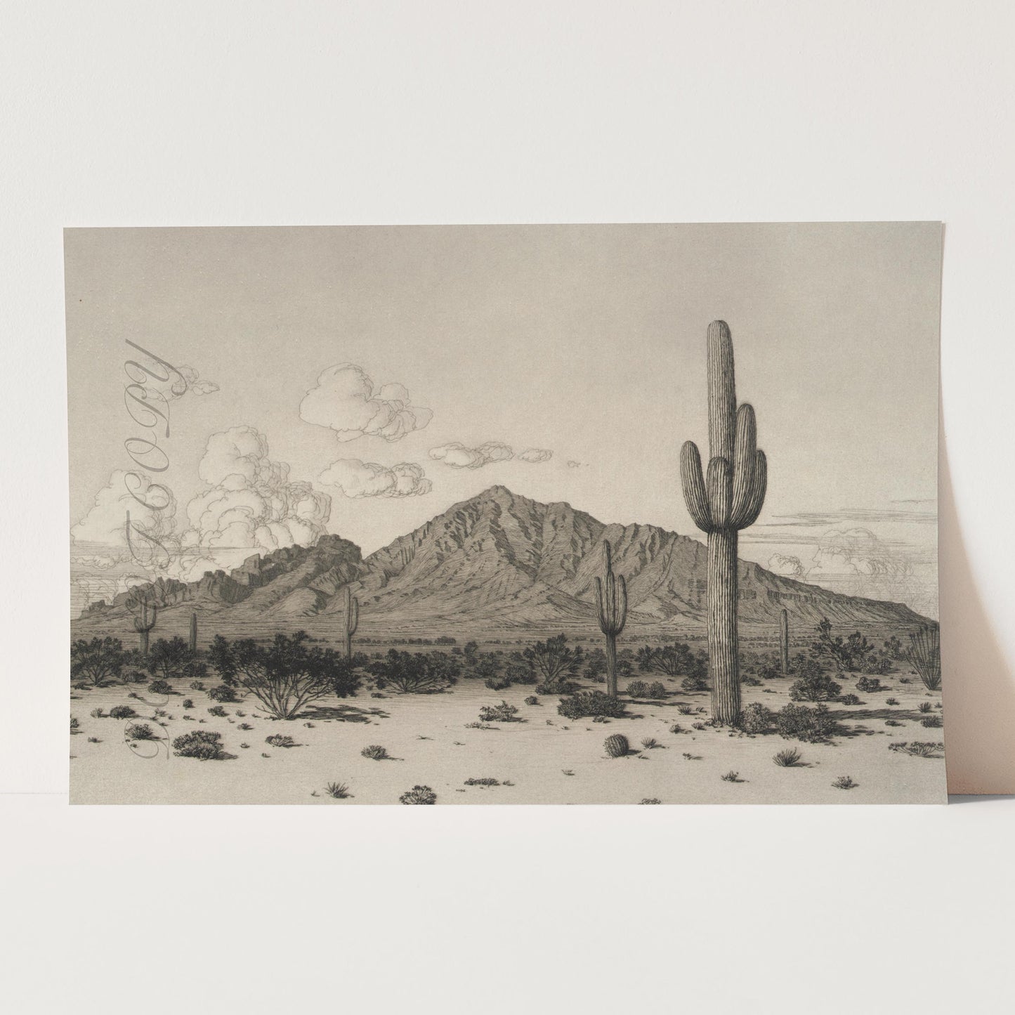 Phoenix Arizona Camelback Mountain 1926