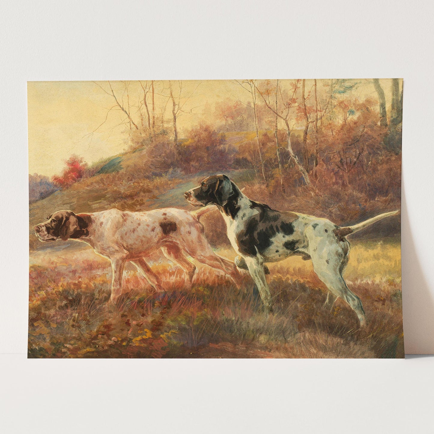 Pointers in the Field