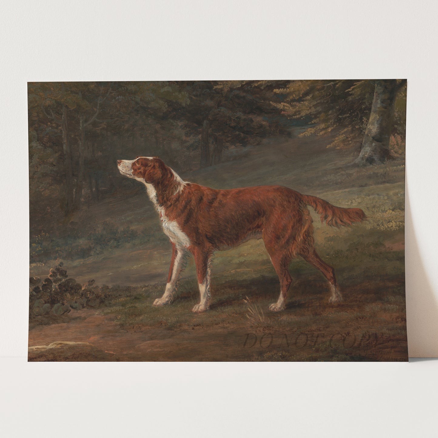 Ranger a English Setter Dog (1797) by George Garrard