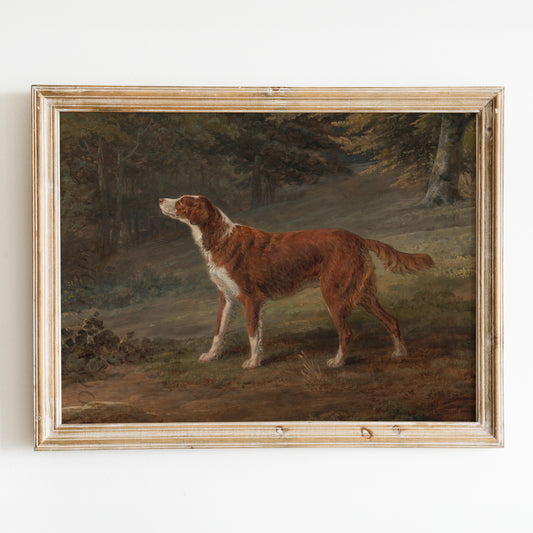 Ranger a English Setter Dog (1797) by George Garrard