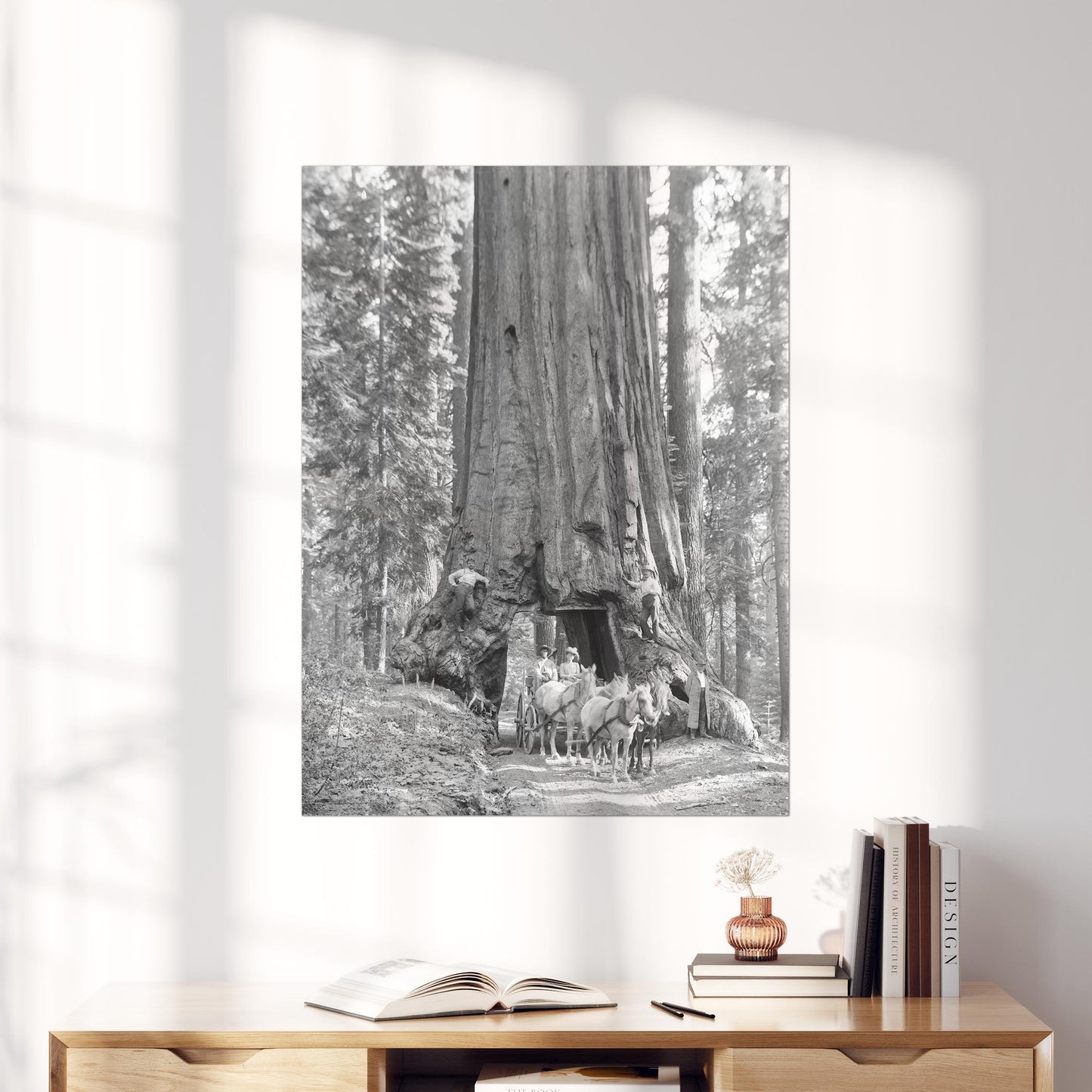 Riding Through Wawona Tunnel Tree, Yosemite