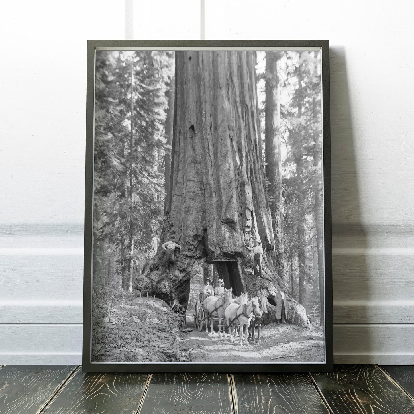 Riding Through Wawona Tunnel Tree, Yosemite