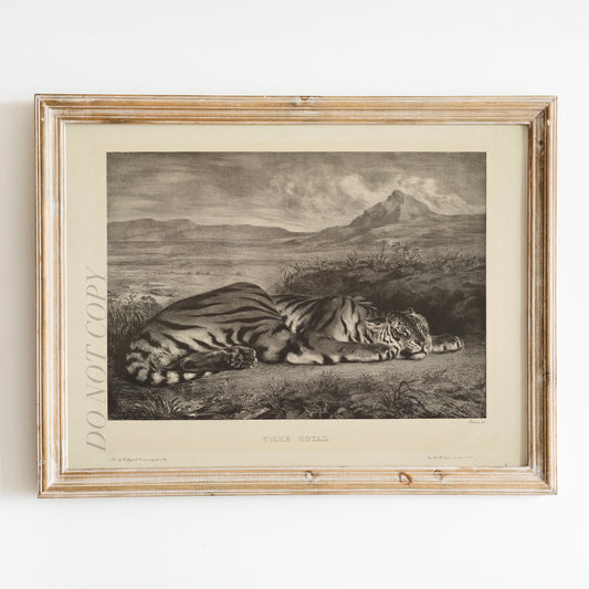 Royal Tiger (1829) by Eugène Delacroix