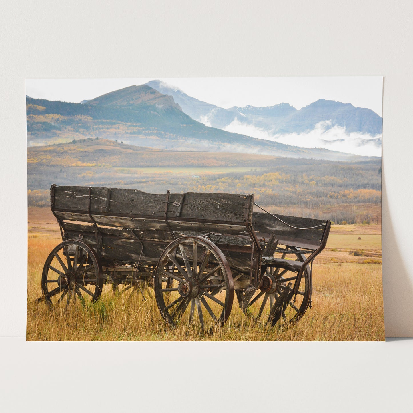 Rustic Wagon Landscape