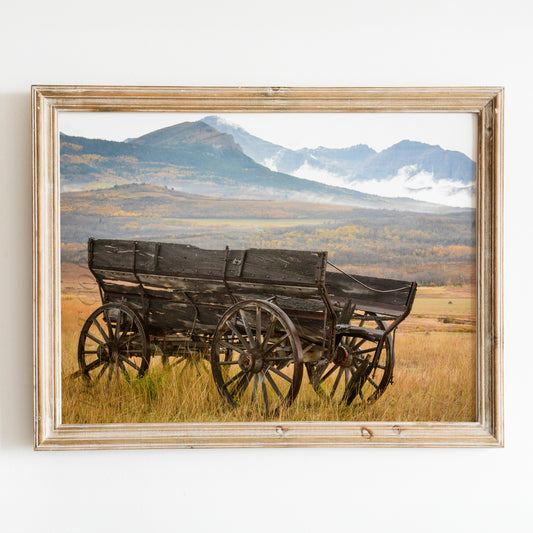 Rustic Wagon Landscape