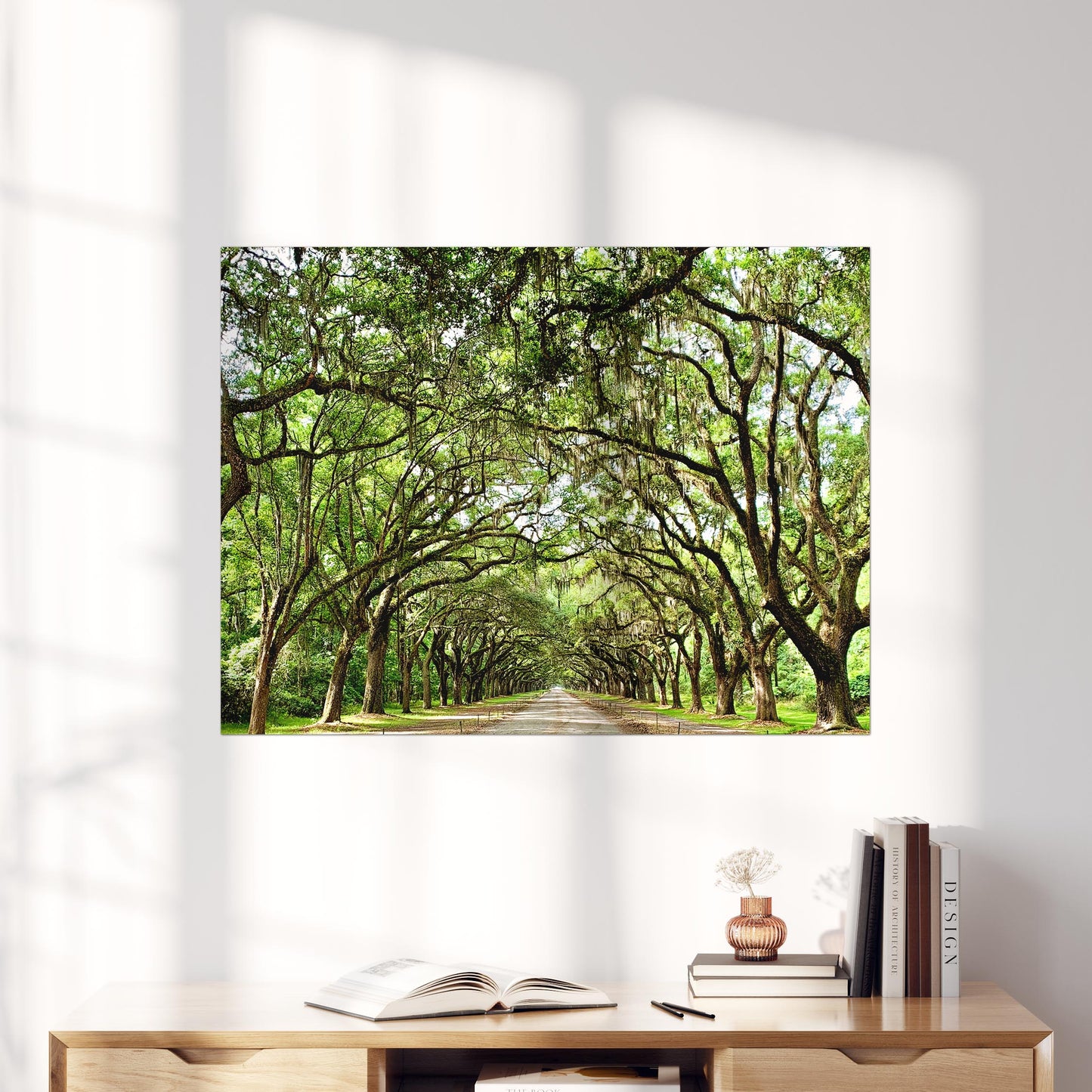Savannah Georgia Oak Trees