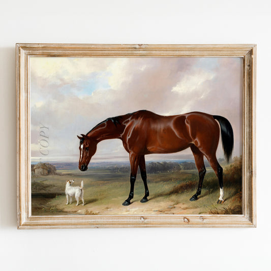 The Bay Hunter and the Terrier