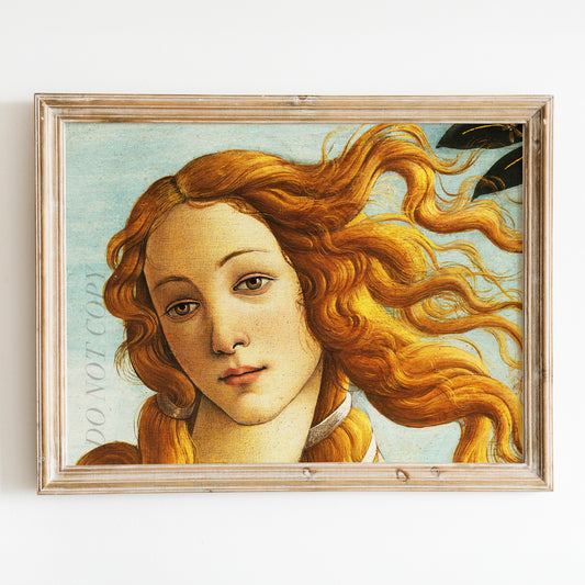 The Birth of Venus Detail of Head by Botticelli