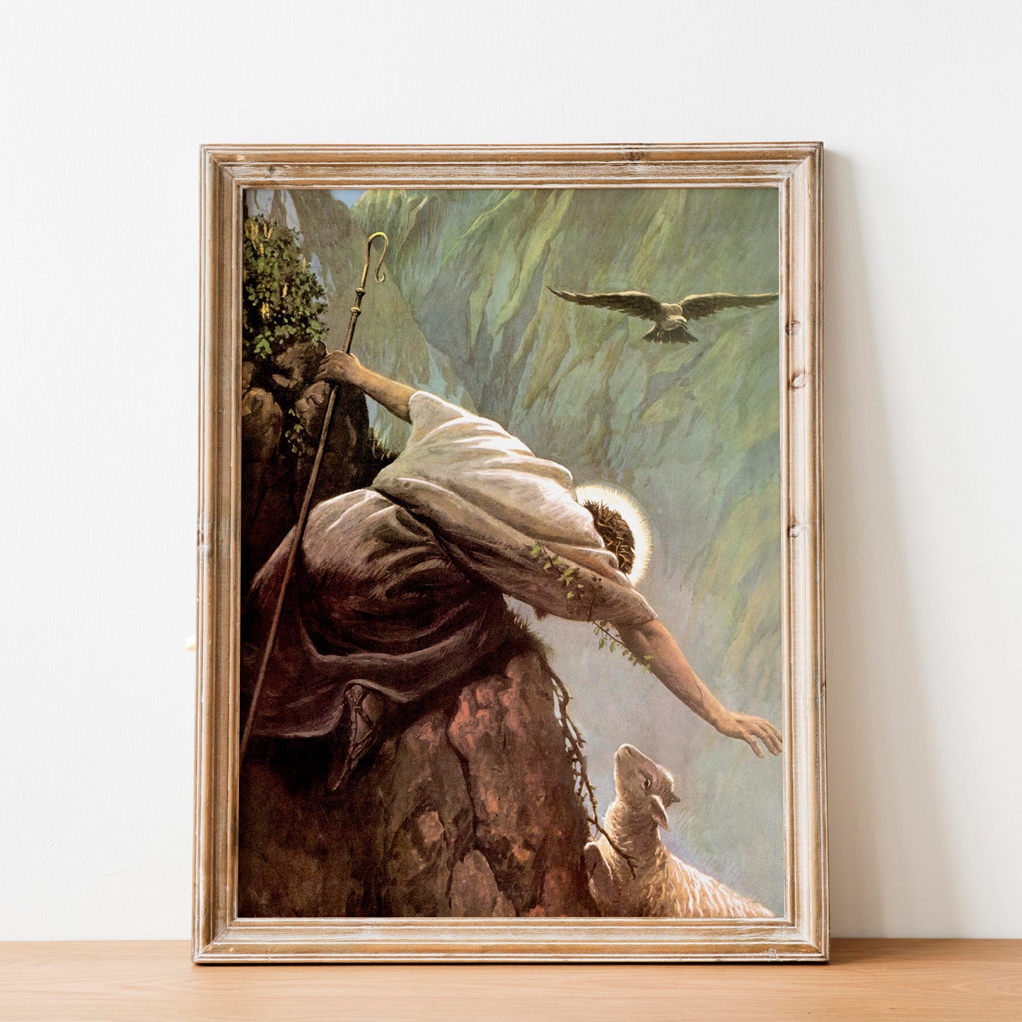 The Lost Sheep - Jesus the Good Shepherd