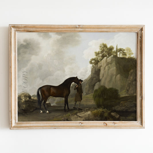 The Marquess of Rockingham's Arabian Stallion by George Stubbs