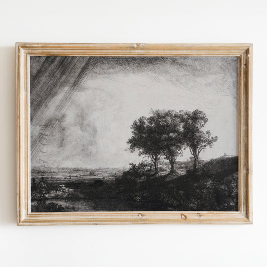 The Three Trees by Rembrandt
