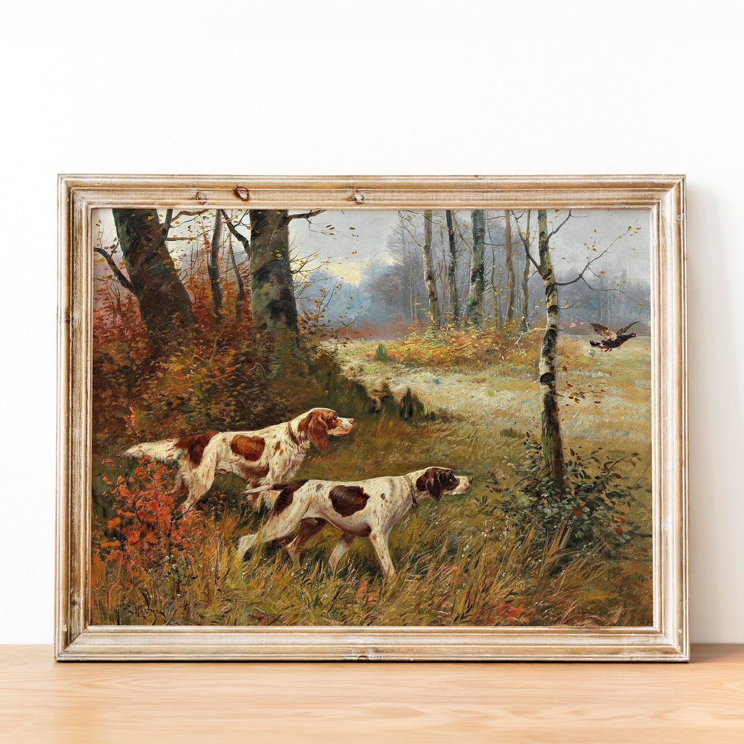 Two English Pointer Dogs