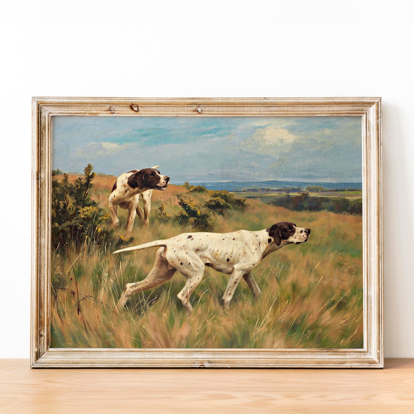 Two English Pointers