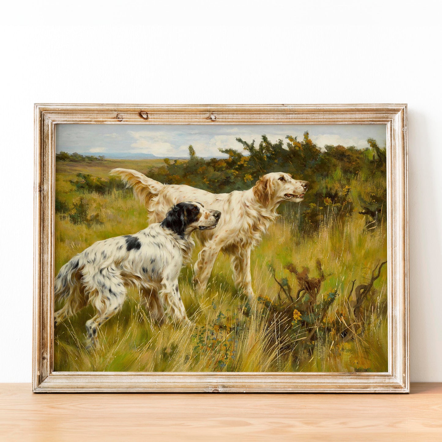 Two English Setters