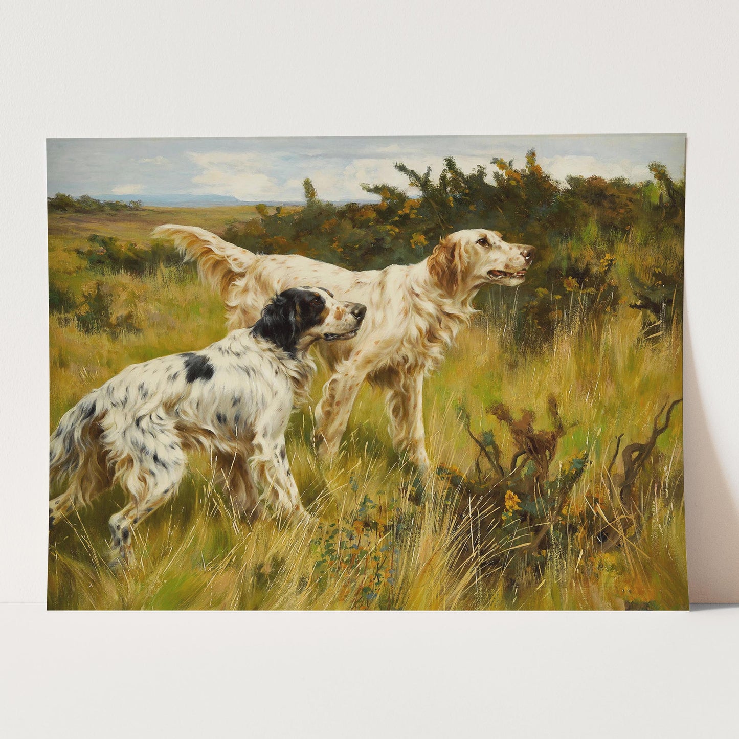 Two English Setters