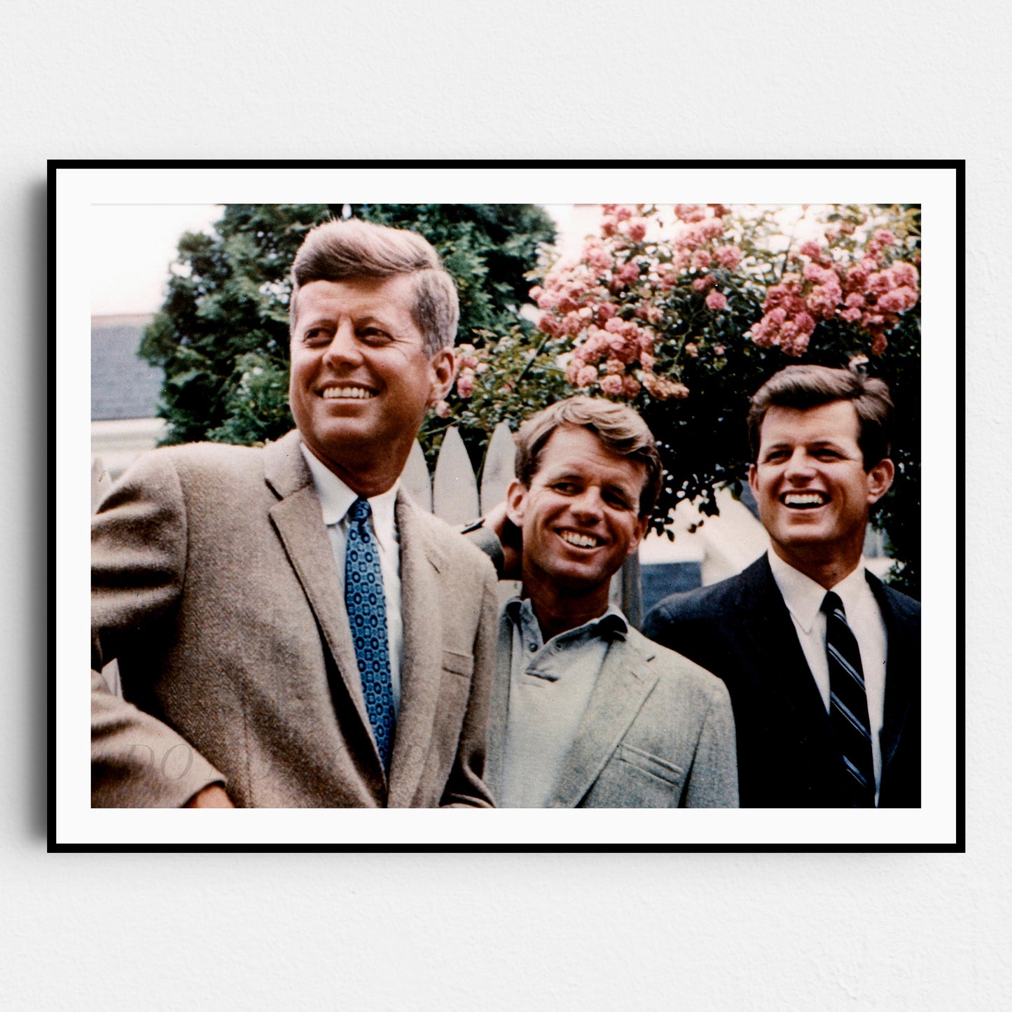 The Kennedy Brothers in 1960
