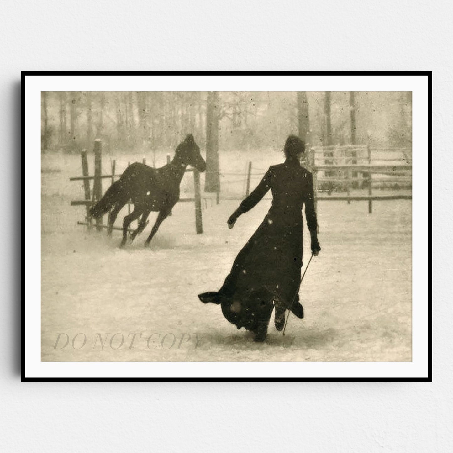 The Horse Trainer