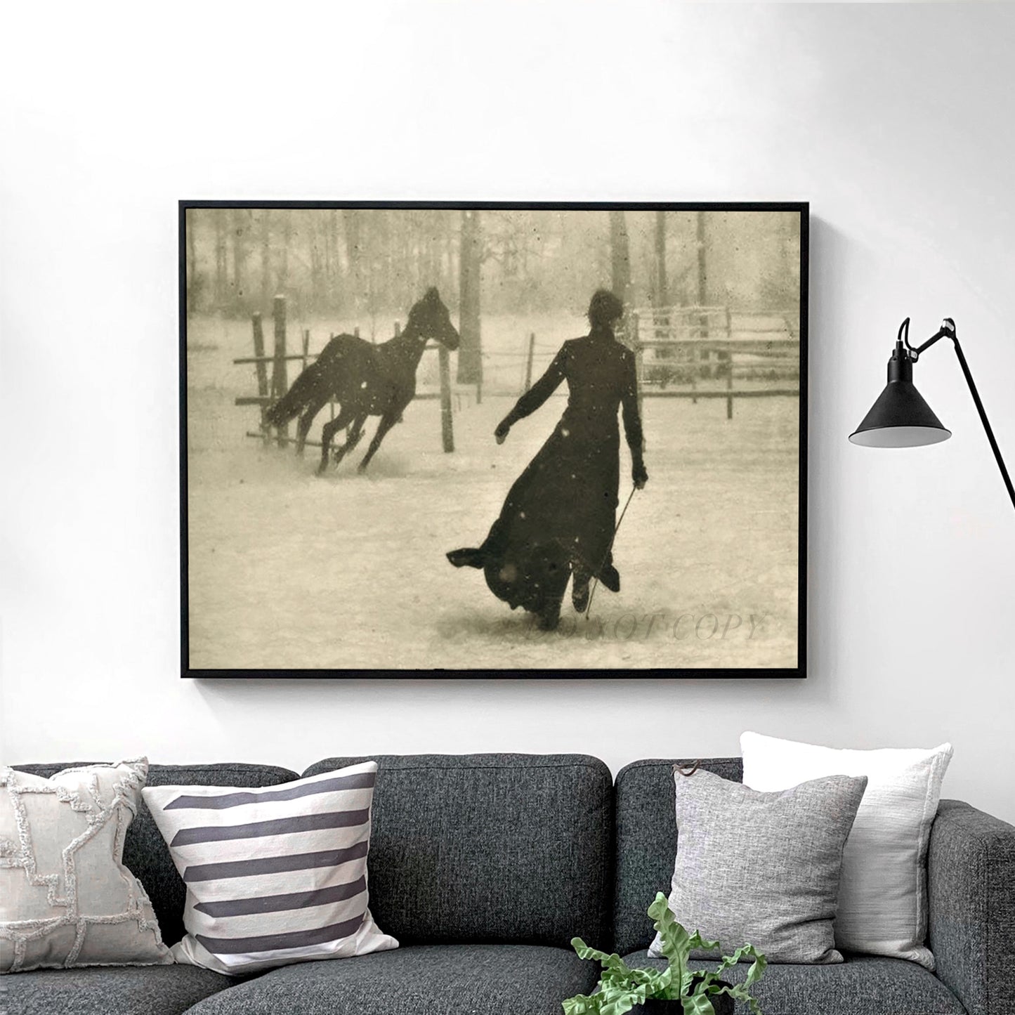 The Horse Trainer