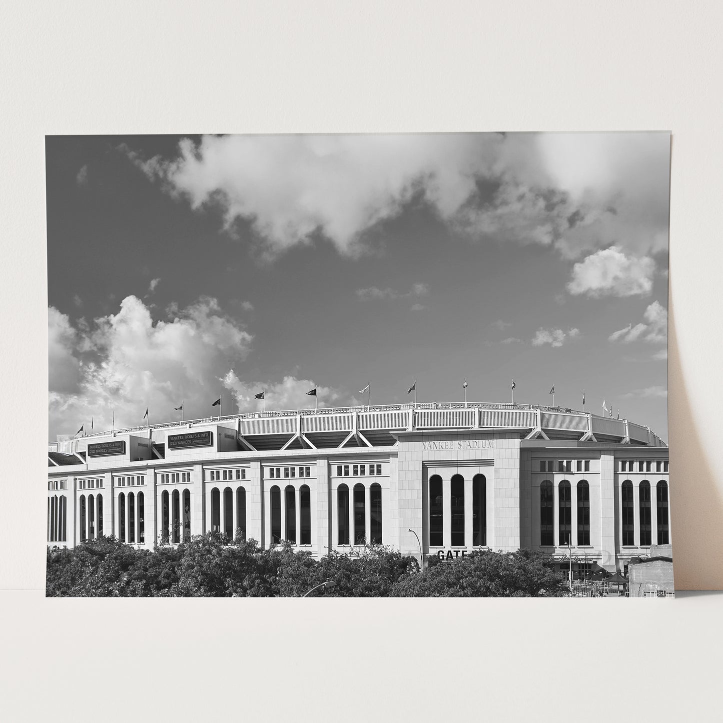 Yankee Stadium, New York Yankees