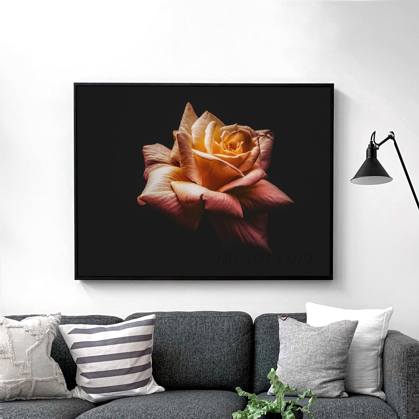 The Rose