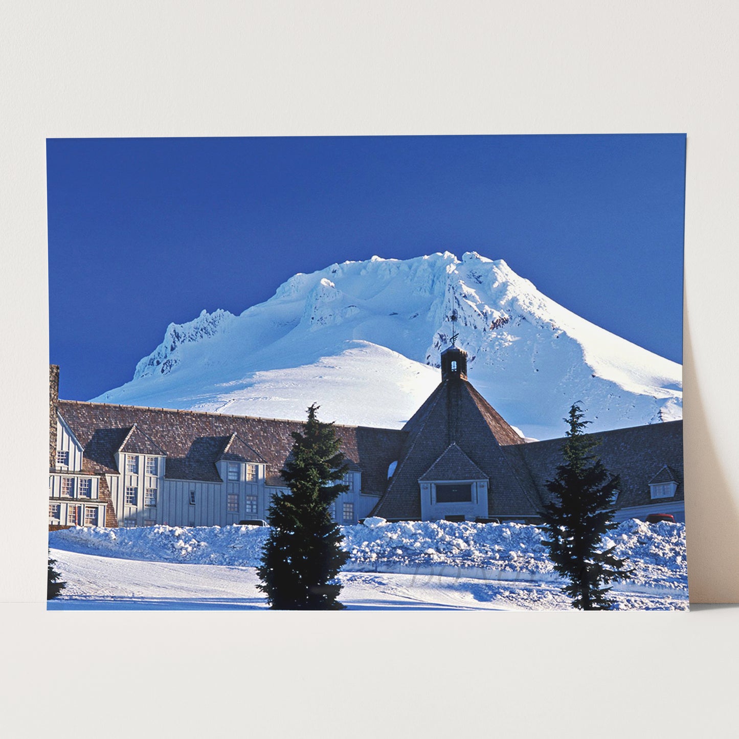 The Shining - The Overlook Hotel