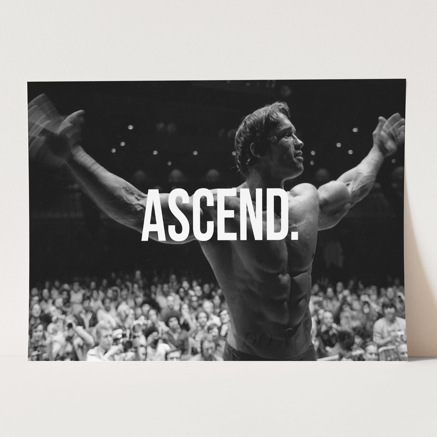 Arnold Schwarzenegger ASCEND